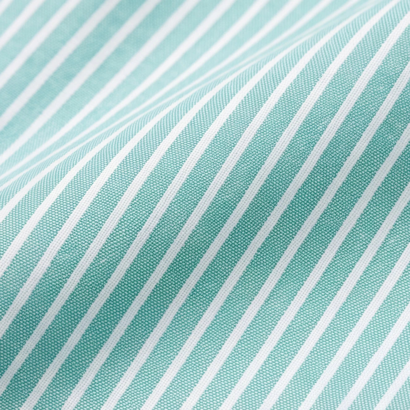 Oxford Button Down Shirt