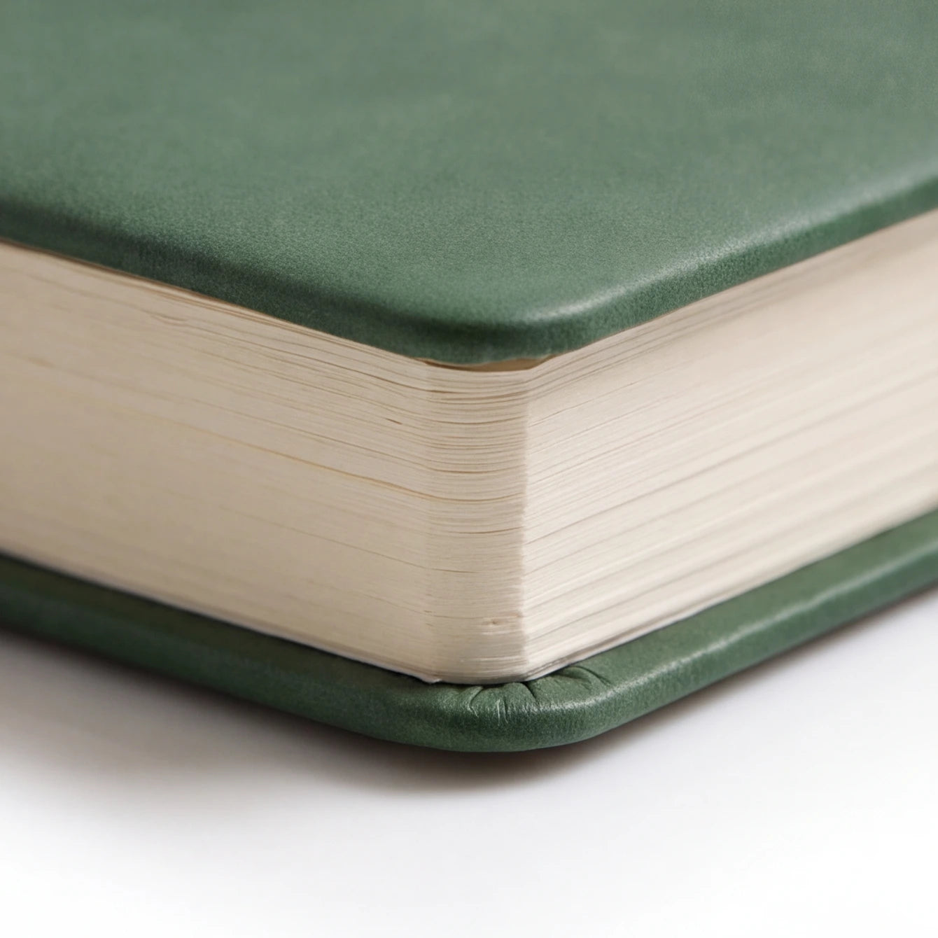 Olivier Leather Bound Diary - A5